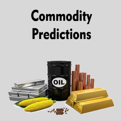 Commodity Predictions